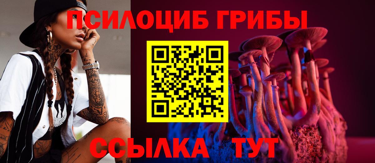 хочу наркоту  Псилоцибиновые грибы Magic Shrooms  Вход с VPN  Урус-Мартан 
